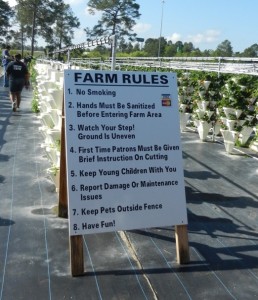 posted rules field instructions how to pick fruit how to garden Strawberry farm farm rules garden safety 